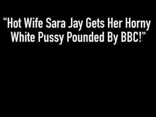 우수한 아내 사라 어치 도착 그녀의 oversexed 화이트 고양이 두드리고 로 영국 bbc!
