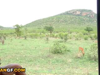 Real footage de meu adorável africana adolescent a chupar mim fora durante safari romântico getaway